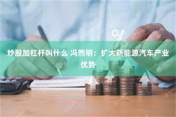 炒股加杠杆叫什么 冯煦明：扩大新能源汽车产业优势