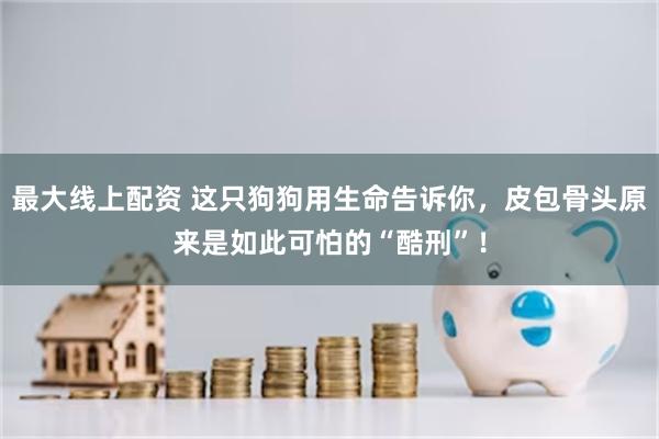 最大线上配资 这只狗狗用生命告诉你，皮包骨头原来是如此可怕的“酷刑”！