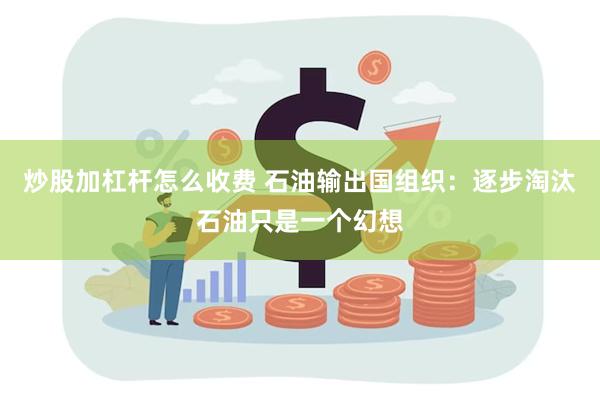 炒股加杠杆怎么收费 石油输出国组织：逐步淘汰石油只是一个幻想