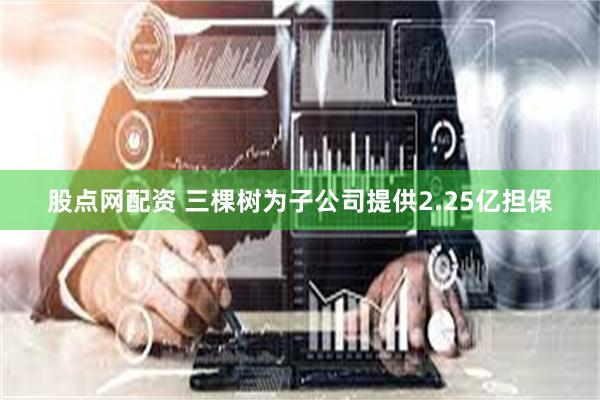股点网配资 三棵树为子公司提供2.25亿担保