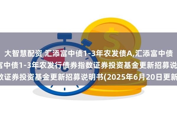 大智慧配资 汇添富中债1-3年农发债A,汇添富中债1-3年农发债C: 汇添富中债1-3年农发行债券指数证券投资基金更新招募说明书(2025年6月20日更新)