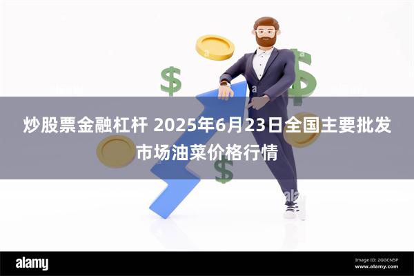 炒股票金融杠杆 2025年6月23日全国主要批发市场油菜价格行情
