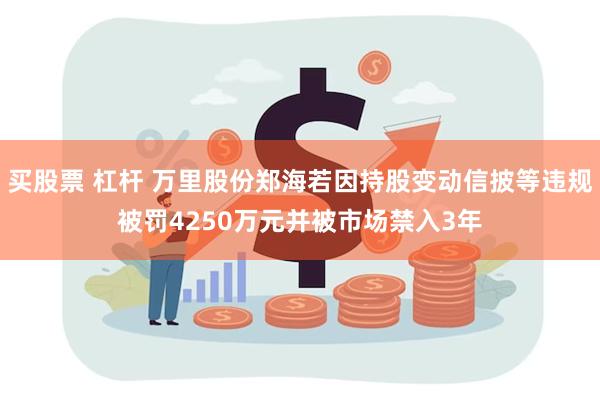 买股票 杠杆 万里股份郑海若因持股变动信披等违规被罚4250万元并被市场禁入3年