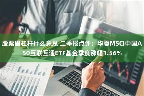 股票里杠杆什么意思 二季报点评：华夏MSCI中国A50互联互通ETF基金季度涨幅1.56%