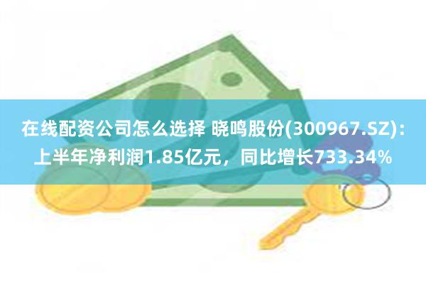 在线配资公司怎么选择 晓鸣股份(300967.SZ)：上半年净利润1.85亿元，同比增长733.34%