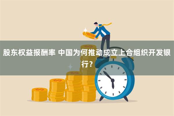 股东权益报酬率 中国为何推动成立上合组织开发银行？