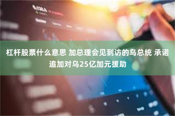 杠杆股票什么意思 加总理会见到访的乌总统 承诺追加对乌25亿加元援助